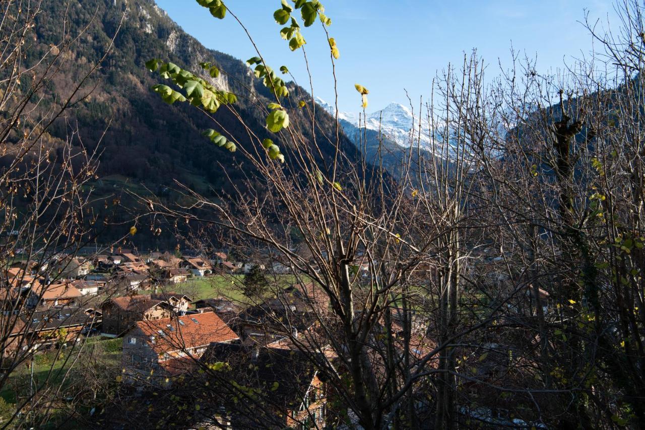 Swiss Holiday House Wilderswil Ngoại thất bức ảnh